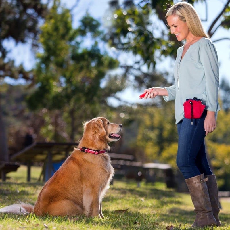 Clix Company of Animals Whizzclick, Clicker and Whistle Combined, Recall and Reward Training, Wrist Strap, For all Dogs Including Sensitive Dogs and Puppies - Image 4